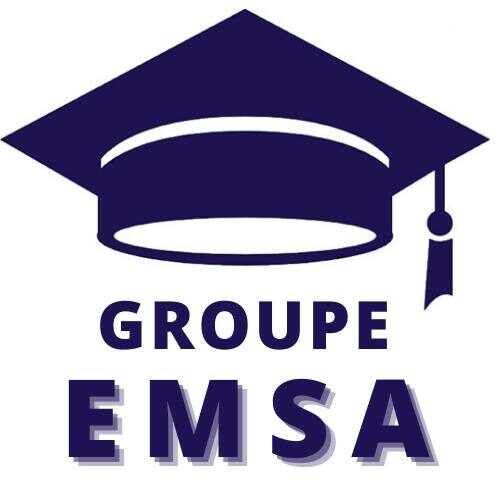 Groupe EMSA